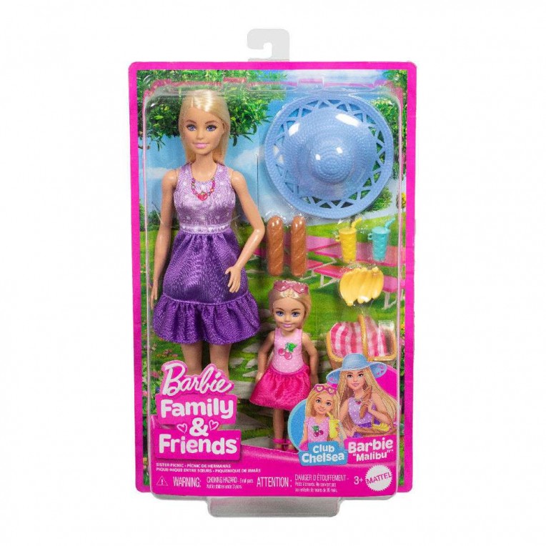 Barbie Family & Friends Κούκλες Barbie & Chelsea Πικ Νικ (JBF43)